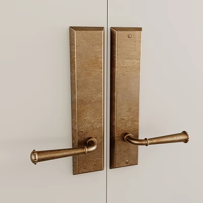 Textured Vintage Brass Door Handles with Classic Design Mounted on Wooden Door Panels 3d model