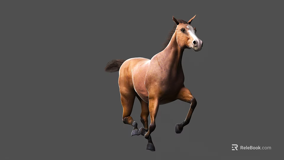 Brown Horse Galloping Dynamically With Muscular Build Against Gray Background 3d model 