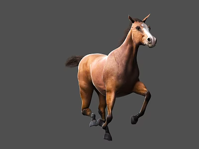 Brown Horse Galloping Dynamically With Muscular Build Against Gray Background 3d model