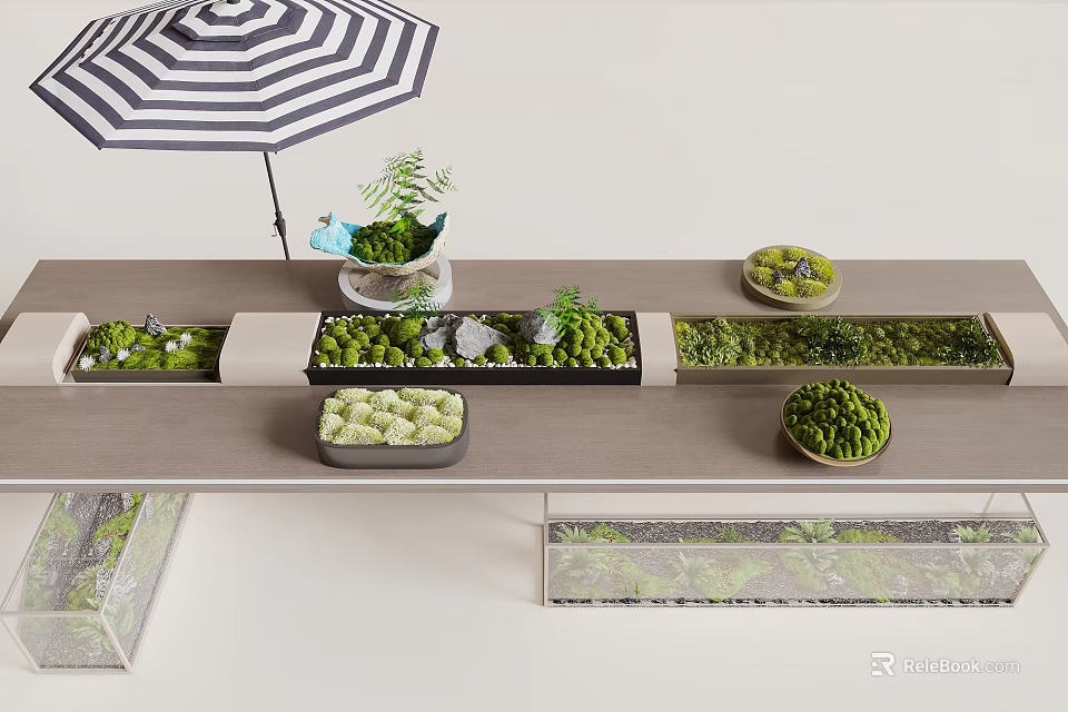 Outdoor Plant Display Setup On Table With Striped Umbrella And Various Greens 3d model 
