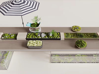 Outdoor Plant Display Setup On Table With Striped Umbrella And Various Greens 3d model