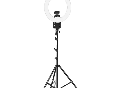 Stylish Ring Design Decorative Light with Adjustable Tripod Stand for Indoor Home Decor 3d model