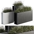 Green Grassy Potted Plants In Black And Gray Rectangular Planters Arrangement 3d model