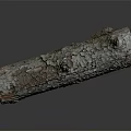 Natural Wood Log With Textured Bark And Smooth Cut Surface 3d model