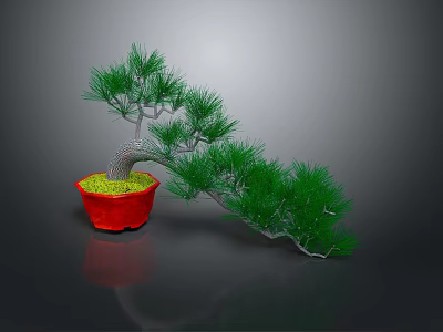 Bonsai Pine Tree With Green Needles In Red Pot On Gray Background 3d model