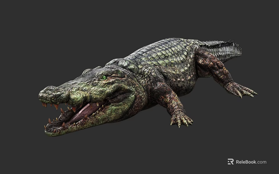 Realistic Aquatic Animal Crocodile With Scaly Skin And Open Mouth Posture 3d model 