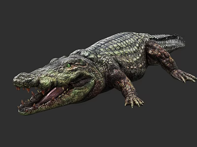 Realistic Aquatic Animal Crocodile With Scaly Skin And Open Mouth Posture 3d model