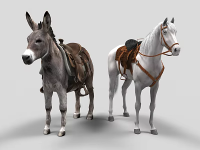 Gray Donkey and White Horse Standing with Leather Saddles and Harnesses 3d model