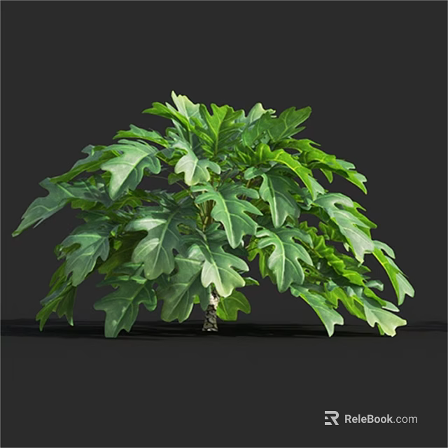 Lush Green Leafy Plant With Vibrant Foliage And Broad Leaves 3d model 