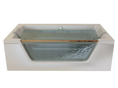 Sleek Modern Bathtub Design With Transparent Glass Panel Brushed Metal Faucet And Calm Water Surface 3d model