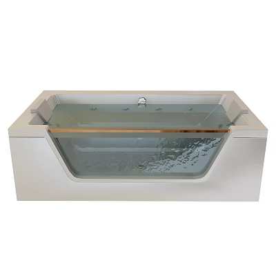Sleek Modern Bathtub Design With Transparent Glass Panel Brushed Metal Faucet And Calm Water Surface 3d model