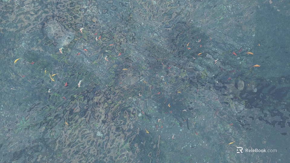 Scenic Clear Water View With Underwater Stones Plants And Floating Leaves 3d model 