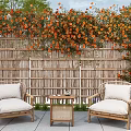 Lush Orange Flower Vines Covering Bamboo Fence With Outdoor Wooden Chairs And Table