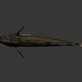 Realistic Brown Fish With Detailed Fins Displayed On Gray Background