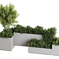 Modern Garden Landscape With Assorted Light Gray Planters Full Of Lush Ornamental Green Plants
