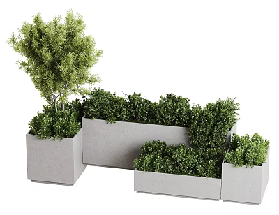 Modern Garden Landscape With Assorted Light Gray Planters Full Of Lush Ornamental Green Plants 3d model