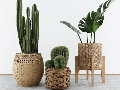 Cactus and Monstera Potted Plants in Woven Baskets on Wooden Stand 3d model