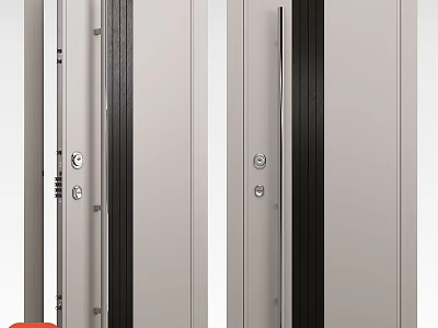 Modern Swing Door Design With Aluminum Frame Black Stripes And Silver Handle Details 3d model