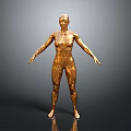 Golden Human Figure Sculpture With Circuit Mechanical Texture Standing Pose And Gray Gradient Background