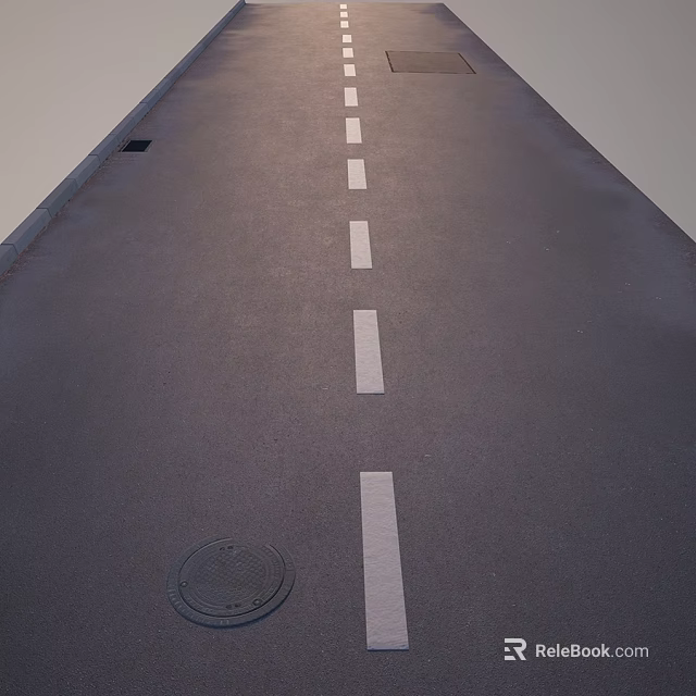 Road Surface on Urban Road With White Lane Markings and Manhole Cover 3d model 