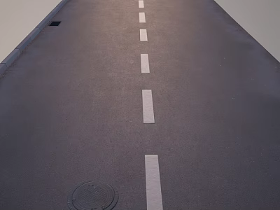Road Surface on Urban Road With White Lane Markings and Manhole Cover 3d model