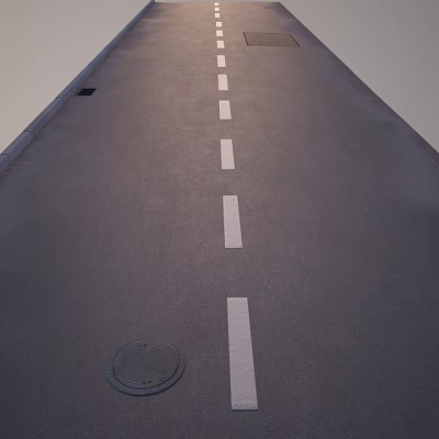 Road Surface on Urban Road With White Lane Markings and Manhole Cover 3d model