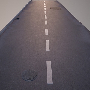 Pavement 3d model