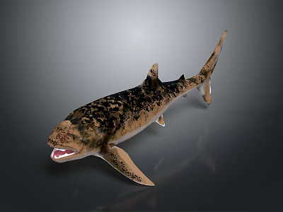 Realistic Shark With Spotted Body Sharp Teeth Open Mouth And Detailed Fins 3d model