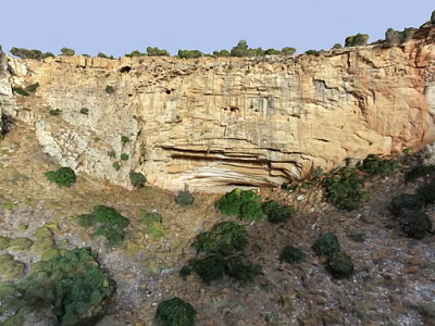 Green bushy plants growing at base of rocky cliff with yellow stone walls 3d model