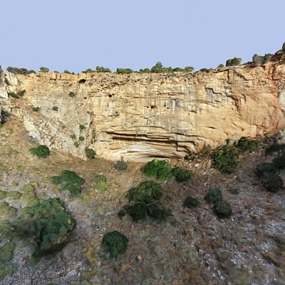 Green bushy plants growing at base of rocky cliff with yellow stone walls 3d model