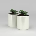 Technology Exhibition Hall Interior With Two White Flower Pots And Green Succulent Plants