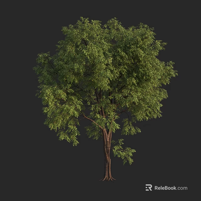Lush Green Tree With Brown Trunk And Dense Foliage Isolated On Dark Background 3d model 