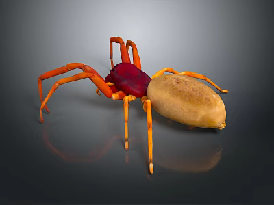 Red and Brown Body Spider with Orange Legs on Gray Background and Reflection 3d model