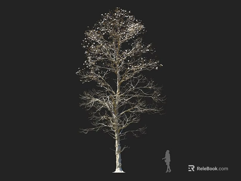 Tall Arbor With White Trunk And Small White Fruits Beside Human Silhouette 3d model 