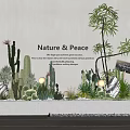 Succulent Plants Decorative Arrangement with Cacti Nature Peace Vibe Light Balls and Stones