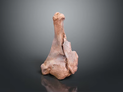 Natural Wooden Sculpture With Irregular Shape Rough Texture And Decorative Design 3d model