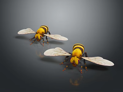 Two Realistic Bees With Yellow Black Striped Body And Transparent Wings 3d model