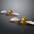 Two Realistic Bees With Yellow Black Striped Body And Transparent Wings