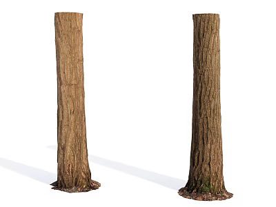 Natural Stone Wood Tree Trunks With Textured Bark And Stone Base 3d model