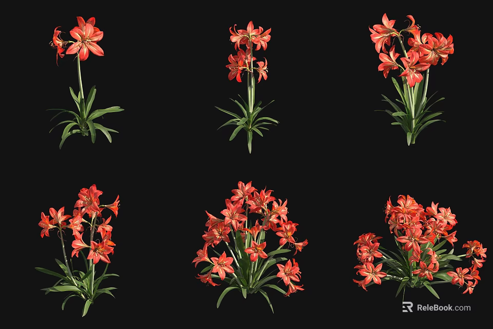 Clusters of Vibrant Red Flowers with Lush Green Stems on Black Background 3d model 
