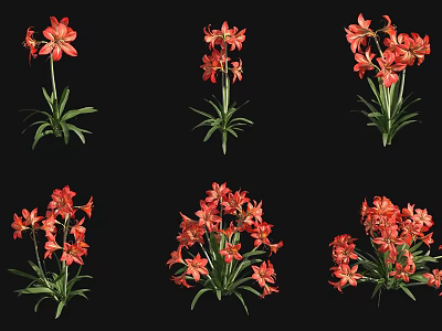 Clusters of Vibrant Red Flowers with Lush Green Stems on Black Background 3d model