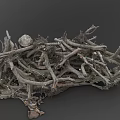 Pile of Dry Plant Roots and Branches With Wooden Stumps in Natural Setting