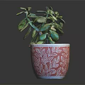 Potted Green Plant With Lush Leaves In Red Pot With White Patterns On Dark Table