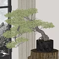Indoor Bonsai Plant with Curved Trunk Lush Green Foliage in Gray Pot on Wooden Stump