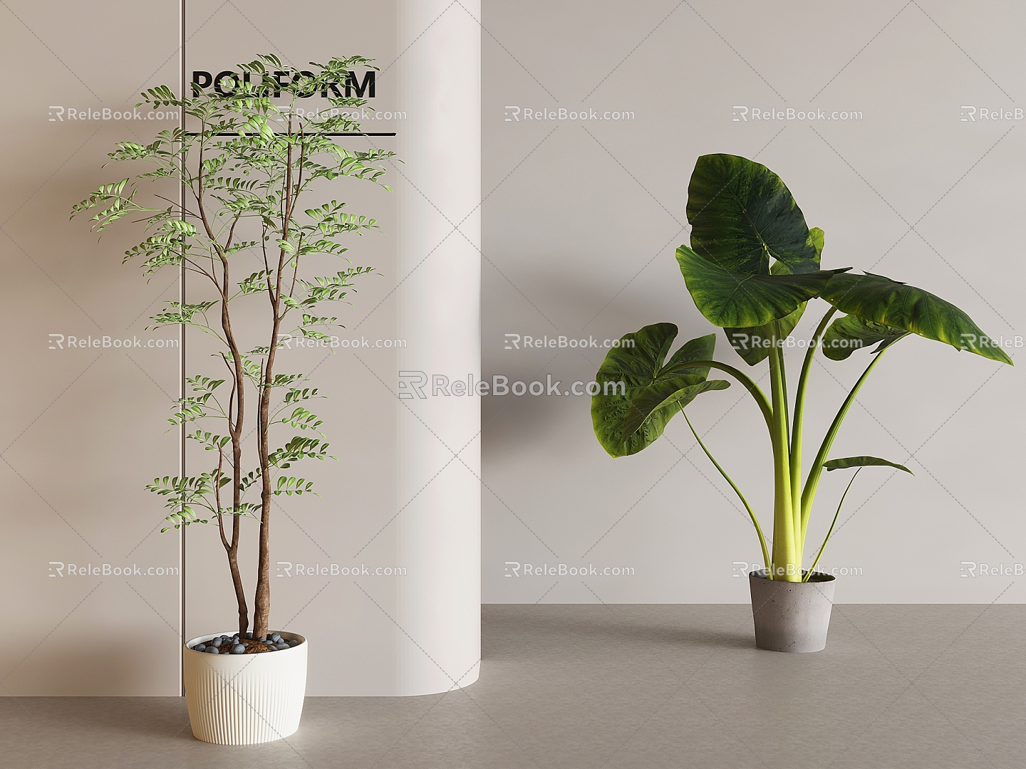 plant potted plant floor green plant potted plant 3d model