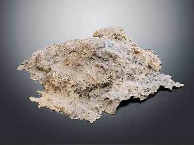 Natural Moss Plant With Rough Texture Irregular Flaky Shape And Light Brown Gray Color 3d model