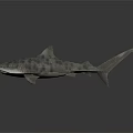 Realistic Striped Shark With Detailed Body And Fins On Dark Background