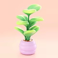 Green Leaf Bonsai Potted Plant With Pink Striped Pot On Pink Background