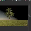 Fruit Bearing Tree Standing On Rocky Ground With Dark Sky And Single Rock
