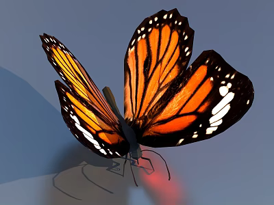 Beautiful Monarch Butterfly With Orange Black Wings And White Spots On Blue Background 3d model